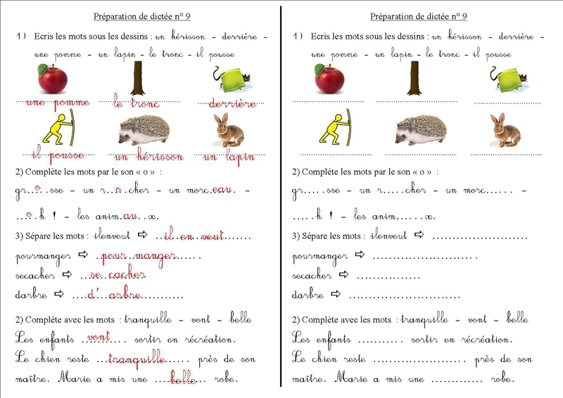Preparation rencontre psychologue
