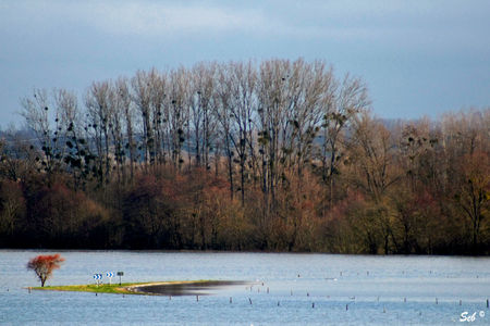 Inondation_04
