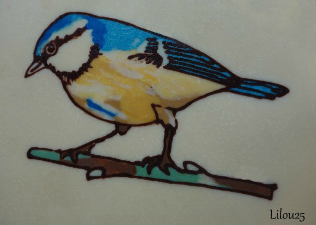 oiseaux en tous genres - Page 5 97406629