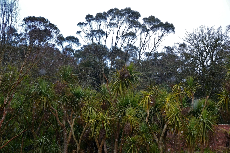 DSC_0748 (2)