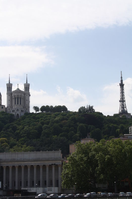 Lyon_559