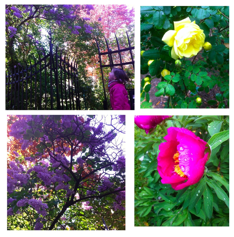 instants-de-fleurs-1-