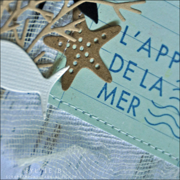 SP de la mer