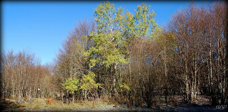 11 11 002 Plat-Moteau Retord (2) (Copier)