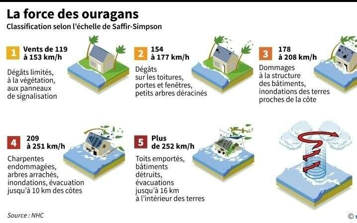 la-force-des-ourgans