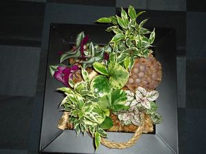 DSC00837