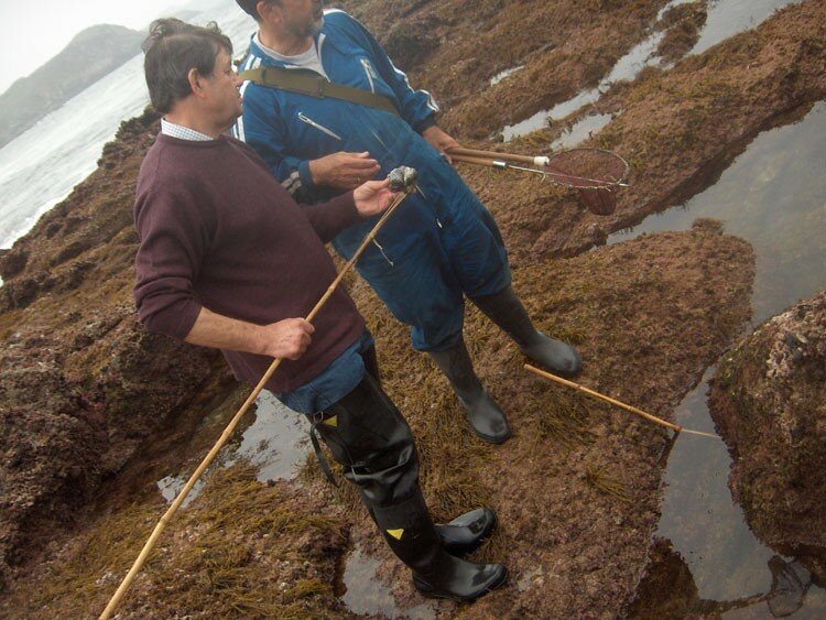 La pêche la chasse psp