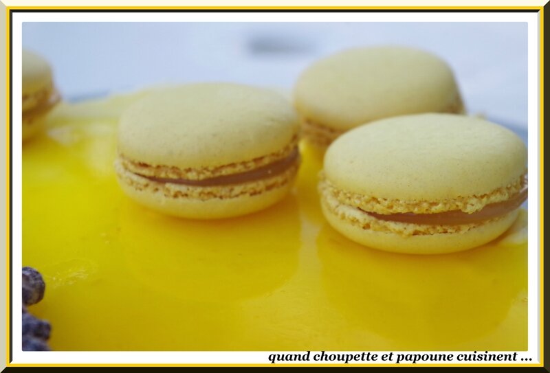 Gâteau à la mousse de citron et aux myrtilles-5166