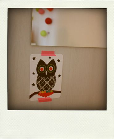 IMG_1510-pola