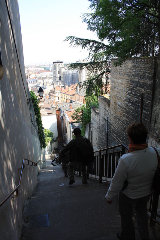 Lyon_544
