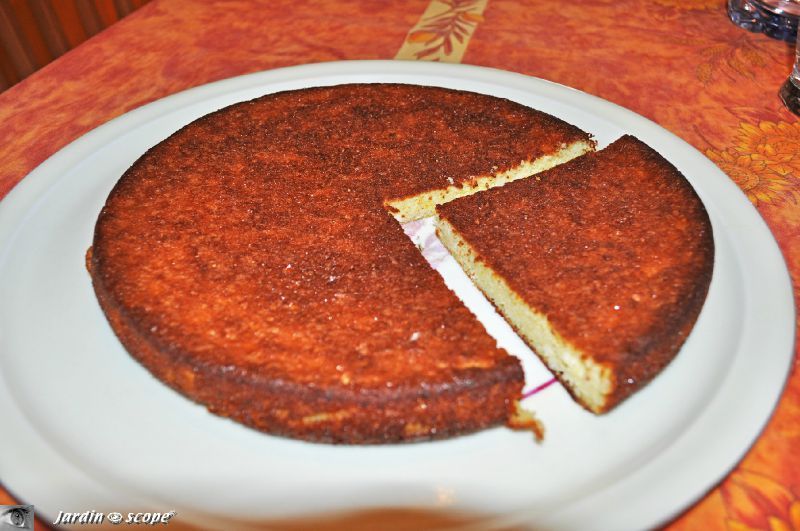 Le fiadone, un gâteau corse au brocciu… le jardinoscope, toute ... Fiadone