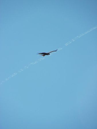 lorsque je leve les yeux je rencontre le ciel