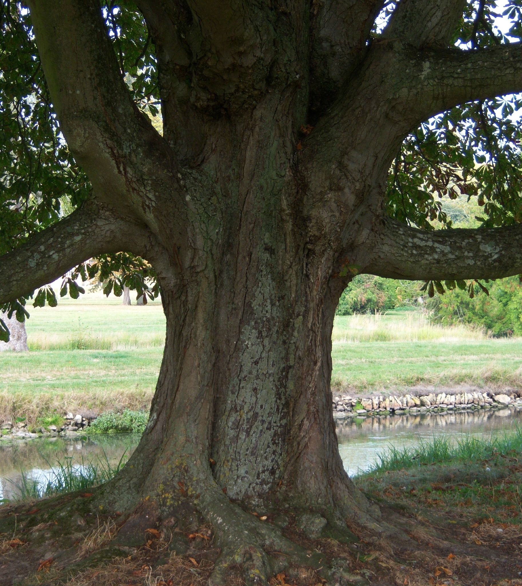 rencontre foret de rambouillet