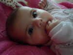 SAM_0829