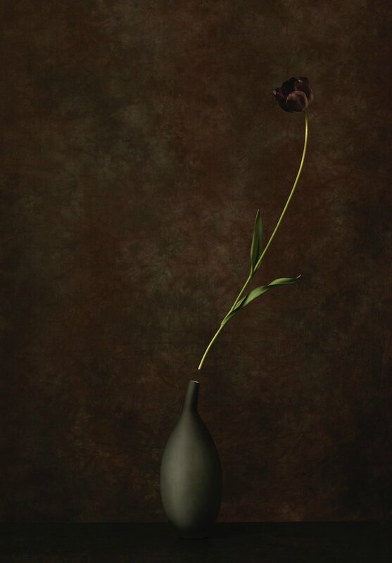 marie-cecile-thijs---black_med_hr-3