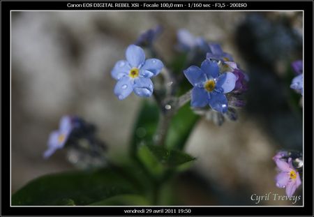 2011_04_29_114
