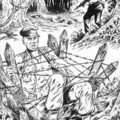 Stan, strange Vietnam