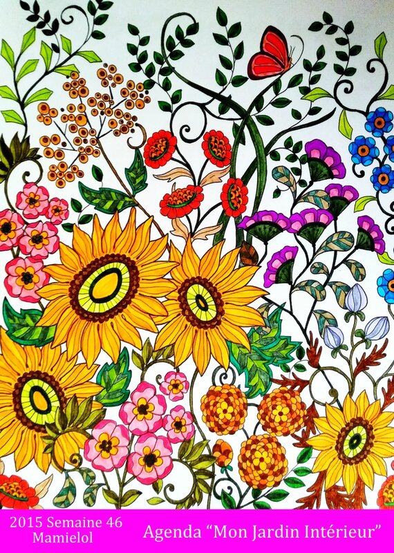 Mon Jardin Interieur-Semaine 46
