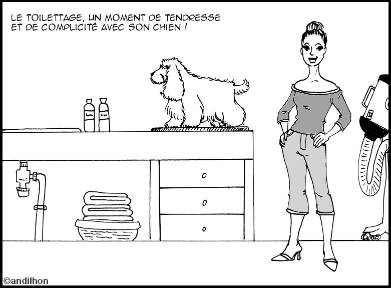 toilettage ! - Une autre vision des cockers... toilettage ! - Une autre vision des cockers...
