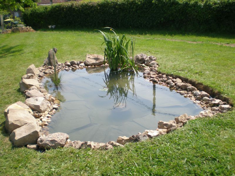 bassin de jardin sans bache