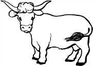 boeuf2 boeuf2