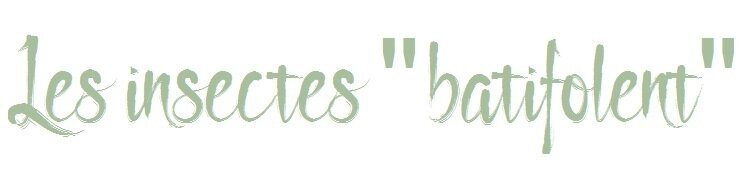 Les insectes