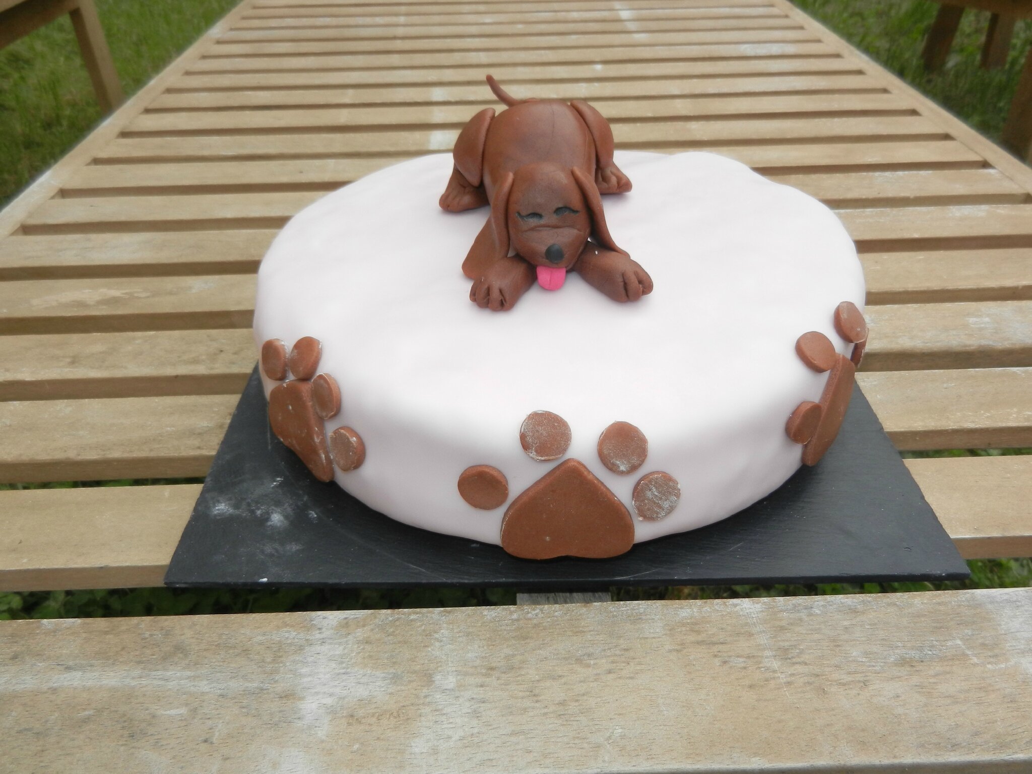 gateau anniversaire chien - Gâteau d'anniversaire gourmand Cuisiner pour toutou c 
