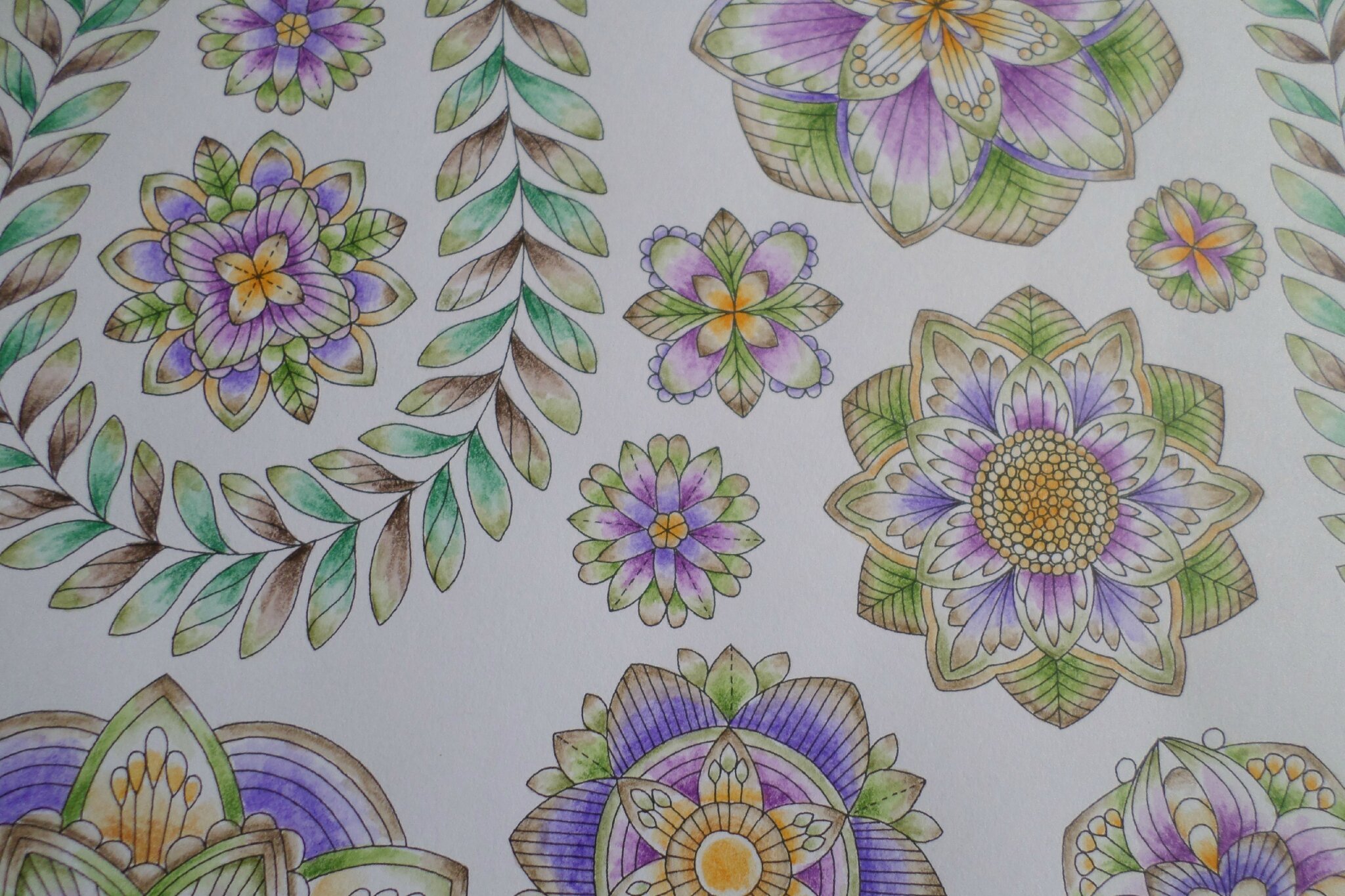 Livre Forªt Tropicale