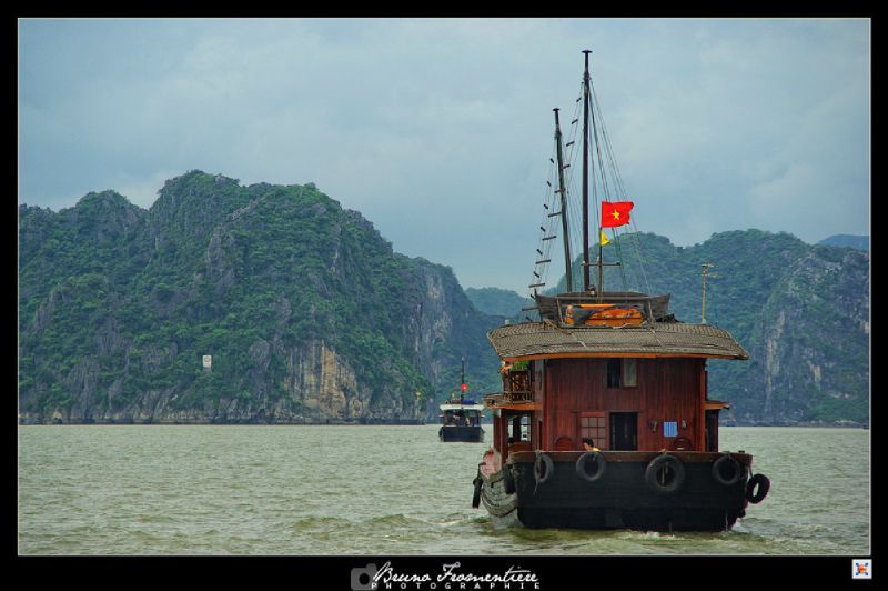 Halong 6