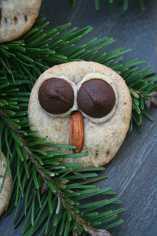sablés hibou 3