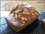 cake_complet