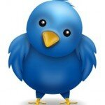 oiseau-twitter