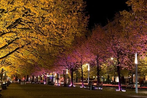 Unter den linden