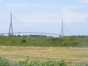 DSCF1348
