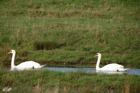 Photo_957