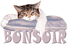 chat-25a608