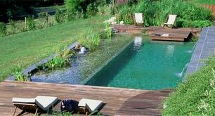 filtre piscine naturelle