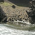 DSC09523