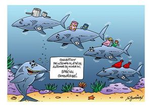Requin mode