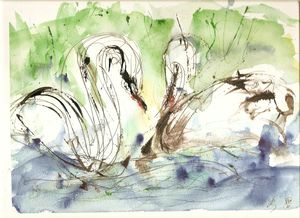 cygnes 1