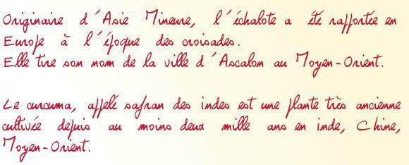 marche-origine03