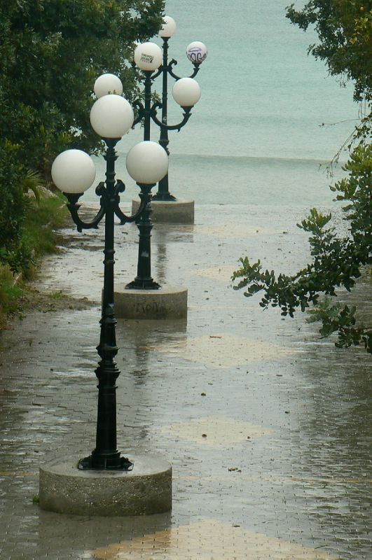 P1040502