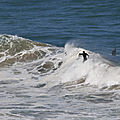 IMG_8151