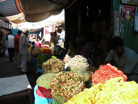 Mysore___Calicut___arriv_e_Cochin_292