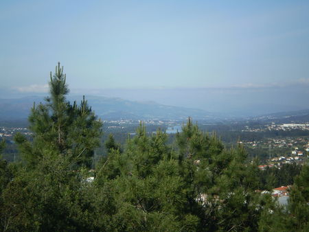 P3080084