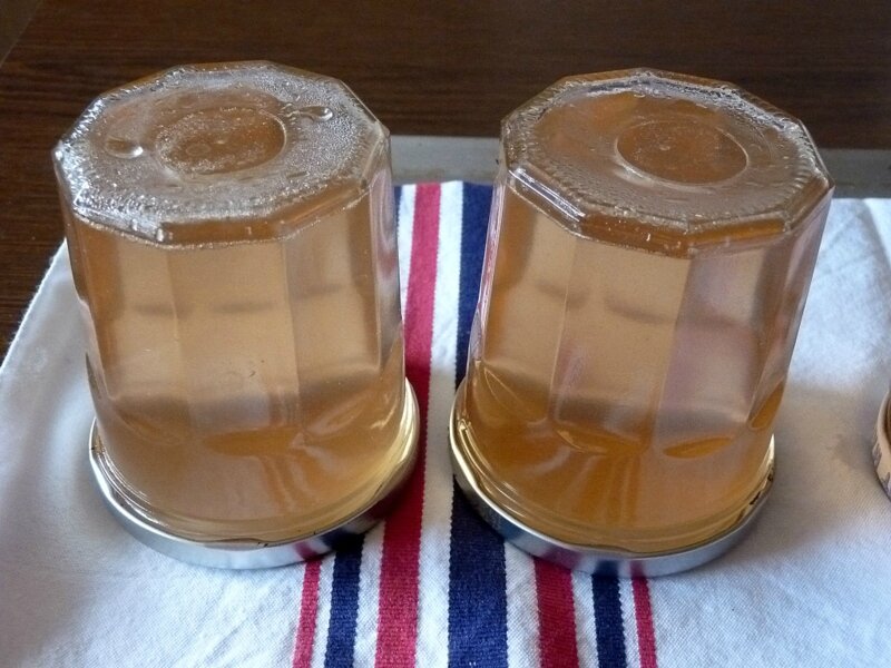 Gelée de pommes (15)