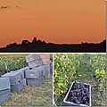 Vendanges 2023