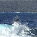 INVERT AERIEN ANTO K18 CORSE