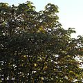 DSCN4945