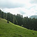 barlagne18